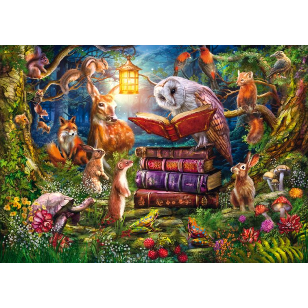 Forest Stories at Night