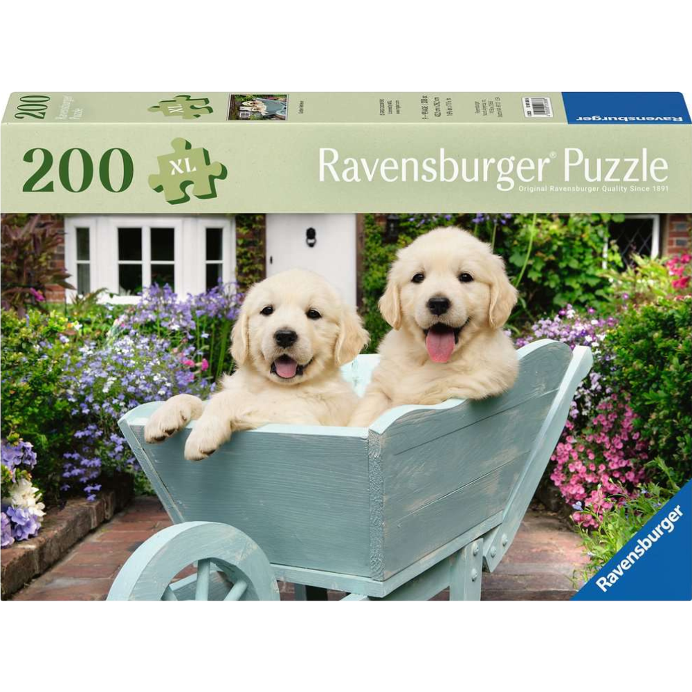 Golden Retriever