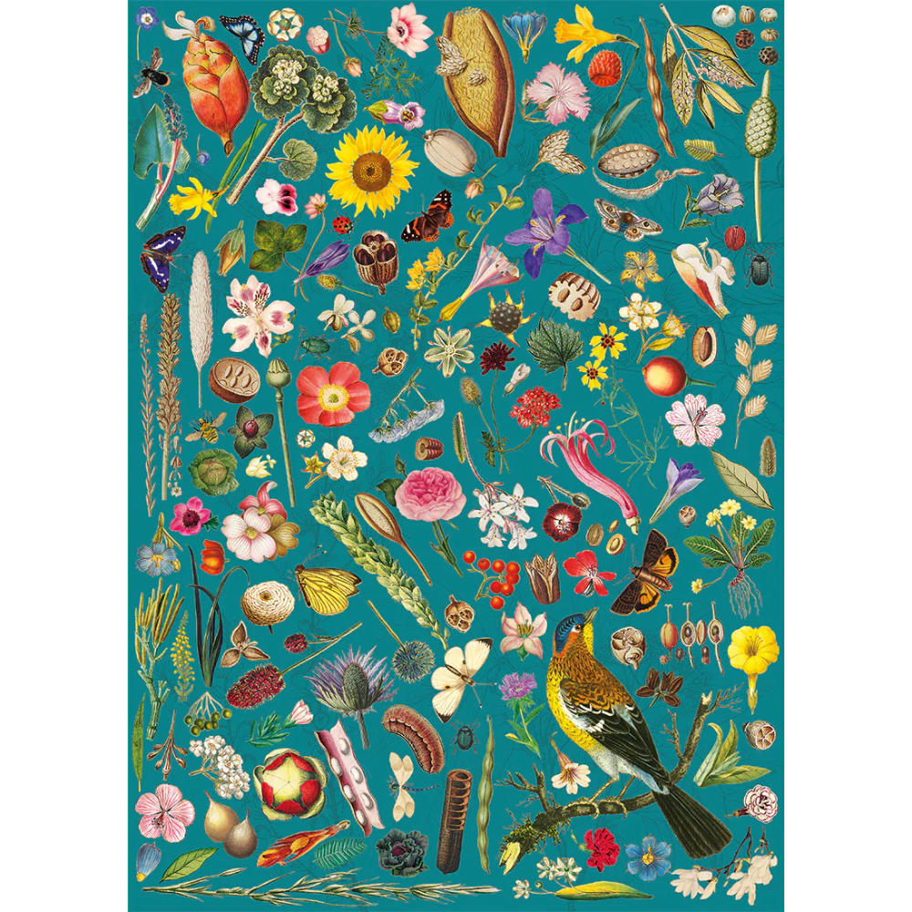 RHS: Floral Fantasy