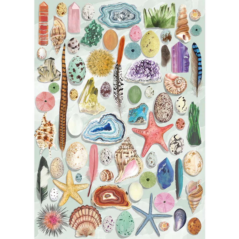 Natural Curiosities
