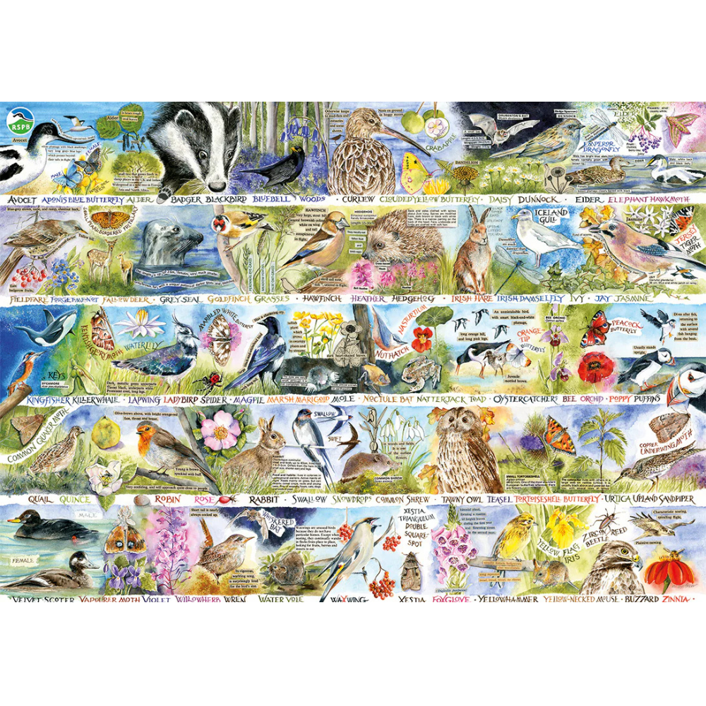 RSPB Birdsong & Bluebells