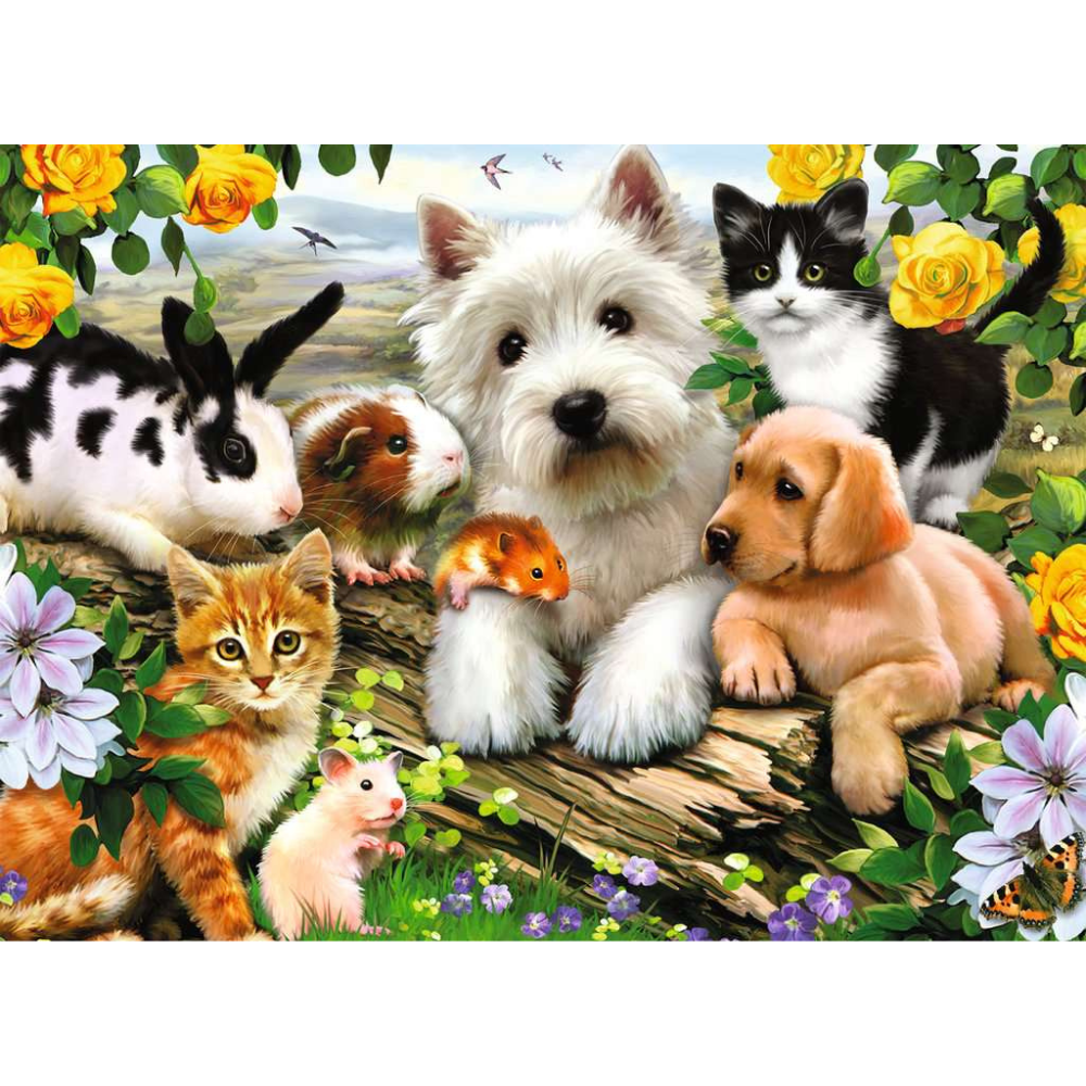 Happy Animal Buddies