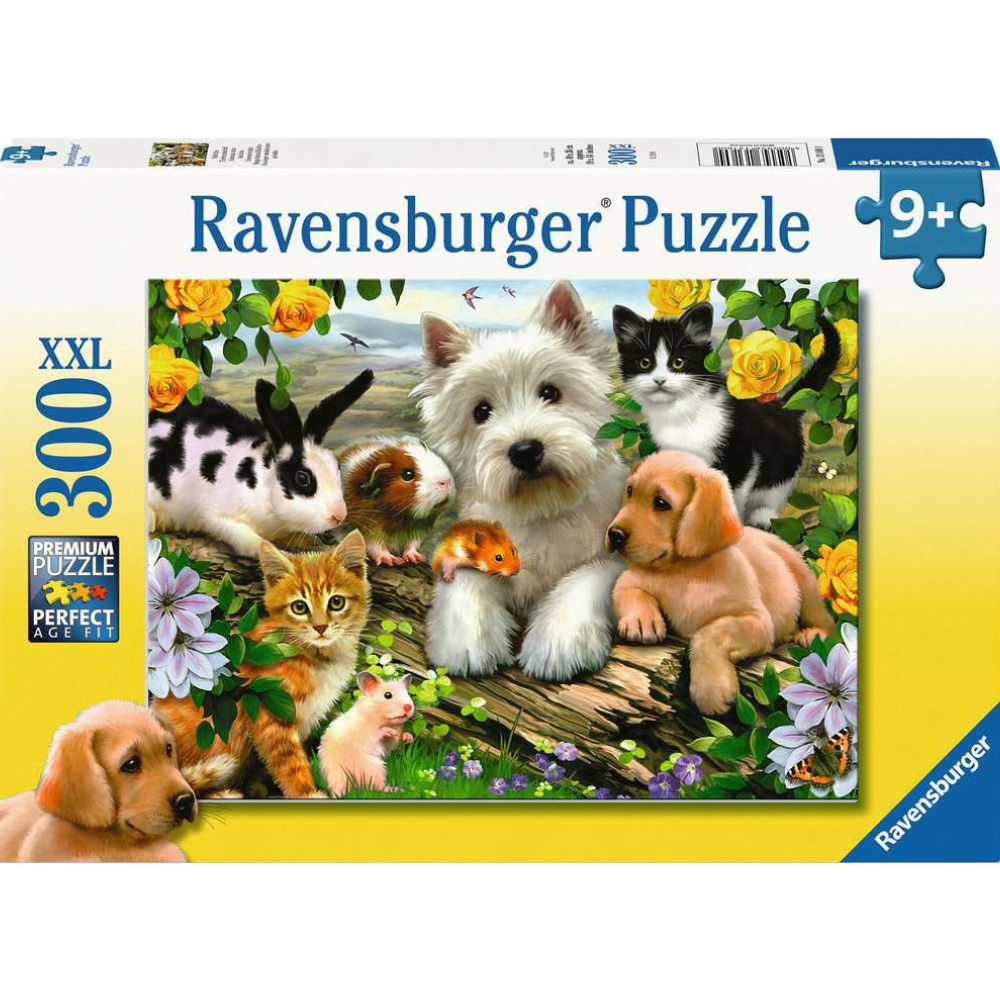 Happy Animal Buddies