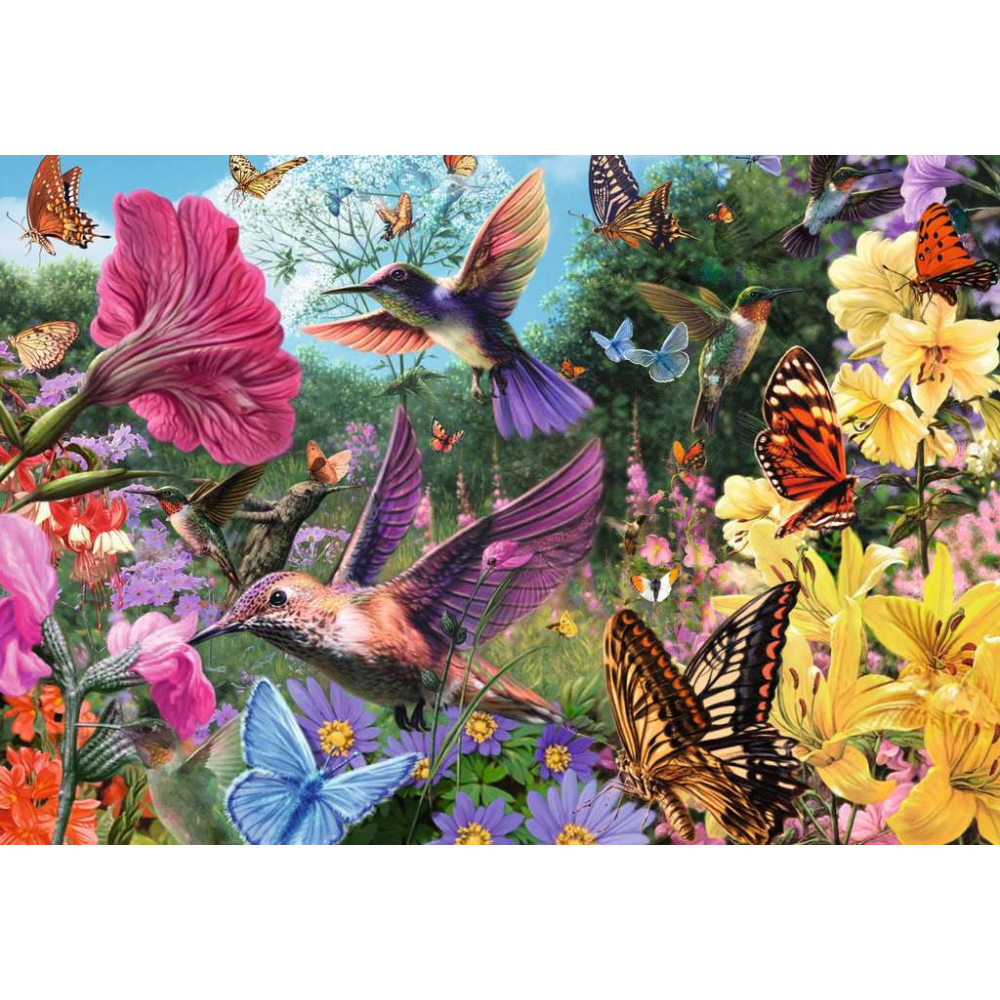 Hummingbirds and Butterflies