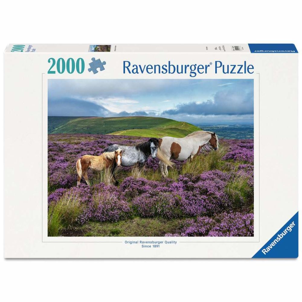 Wild Horses in the Heather