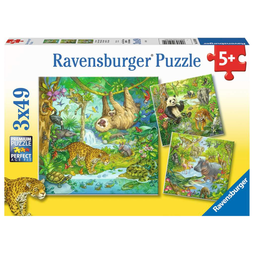Jungle Fun