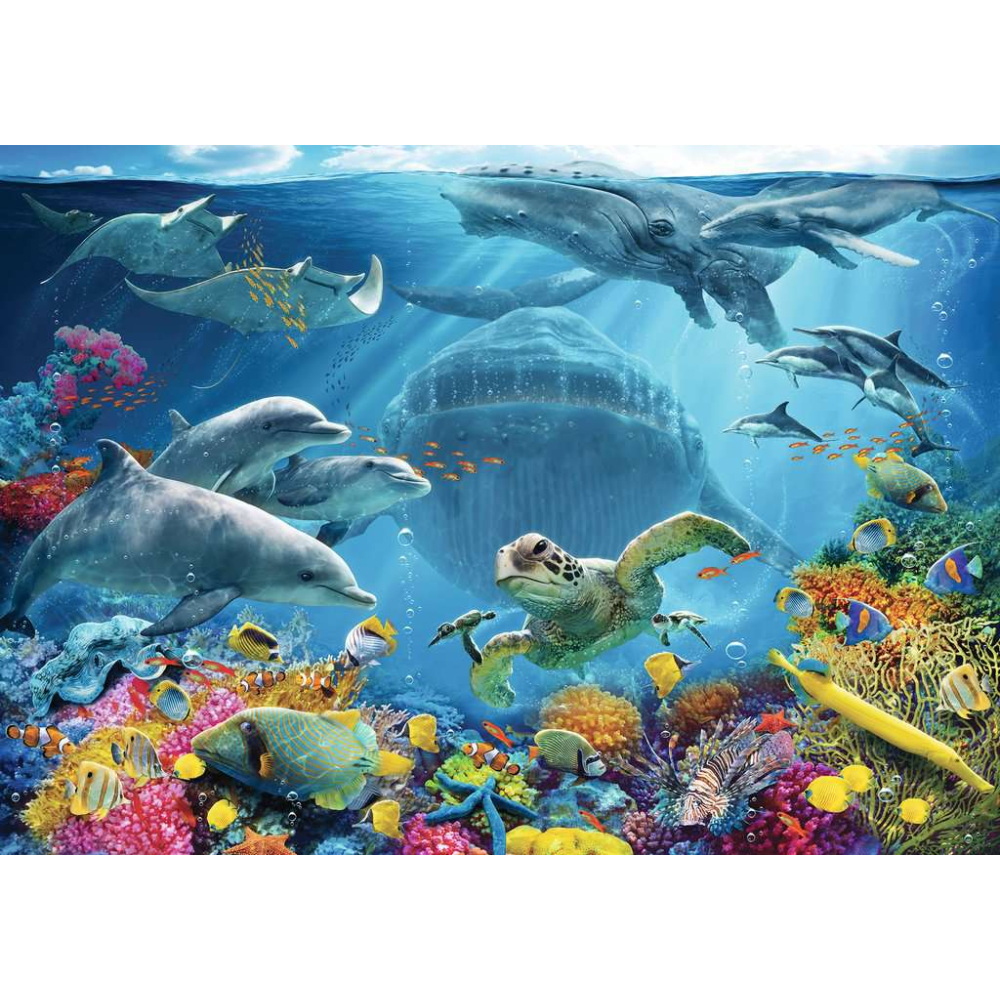 Life Underwater