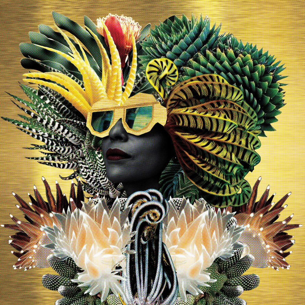 Lolita Lorenzo: In Plain Sight