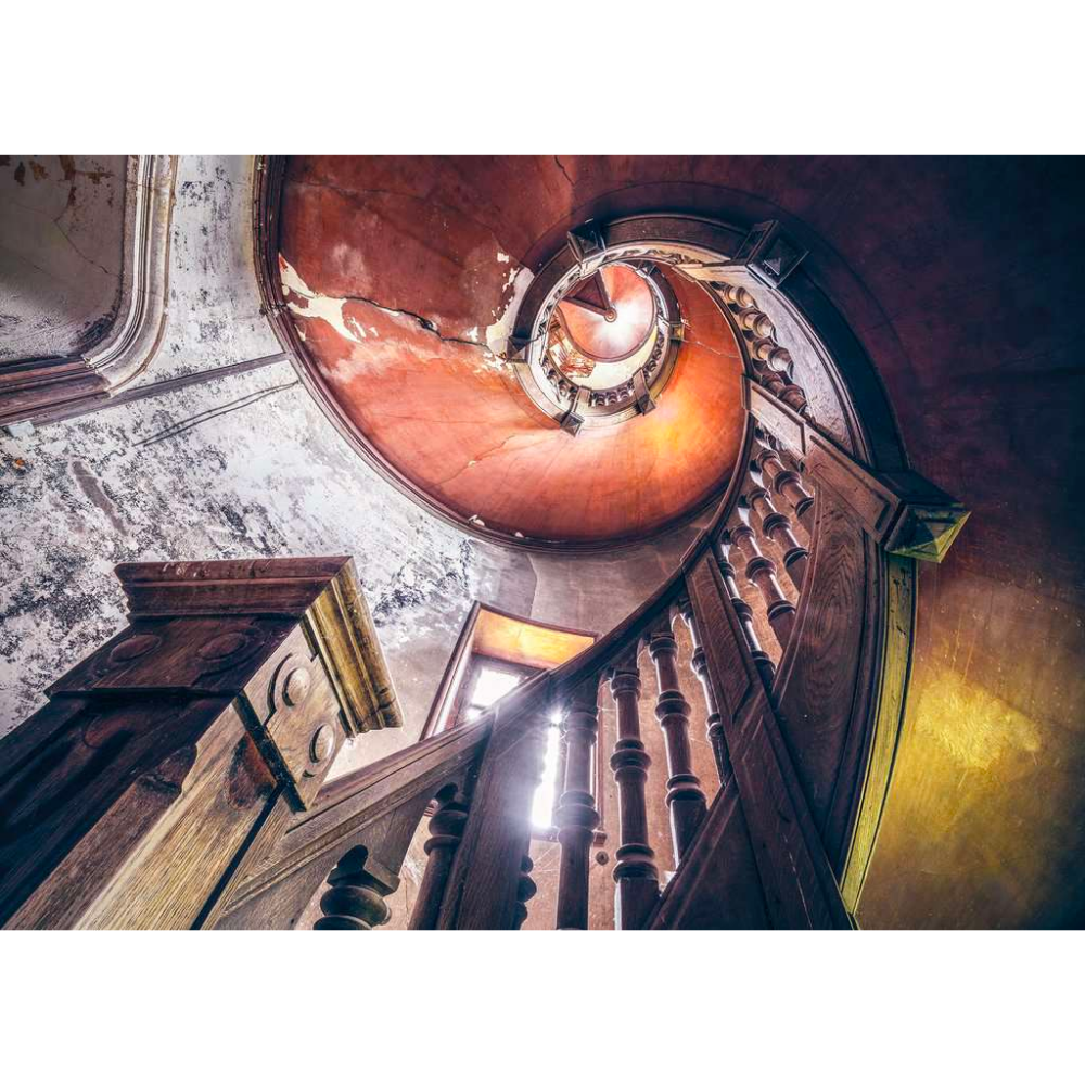 Lost Places: Oak Spiral