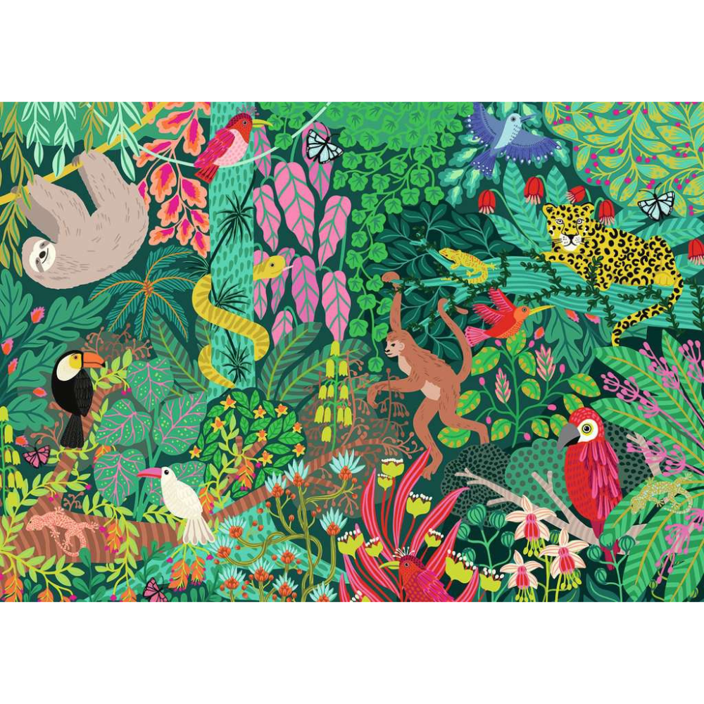 Magical Rainforest