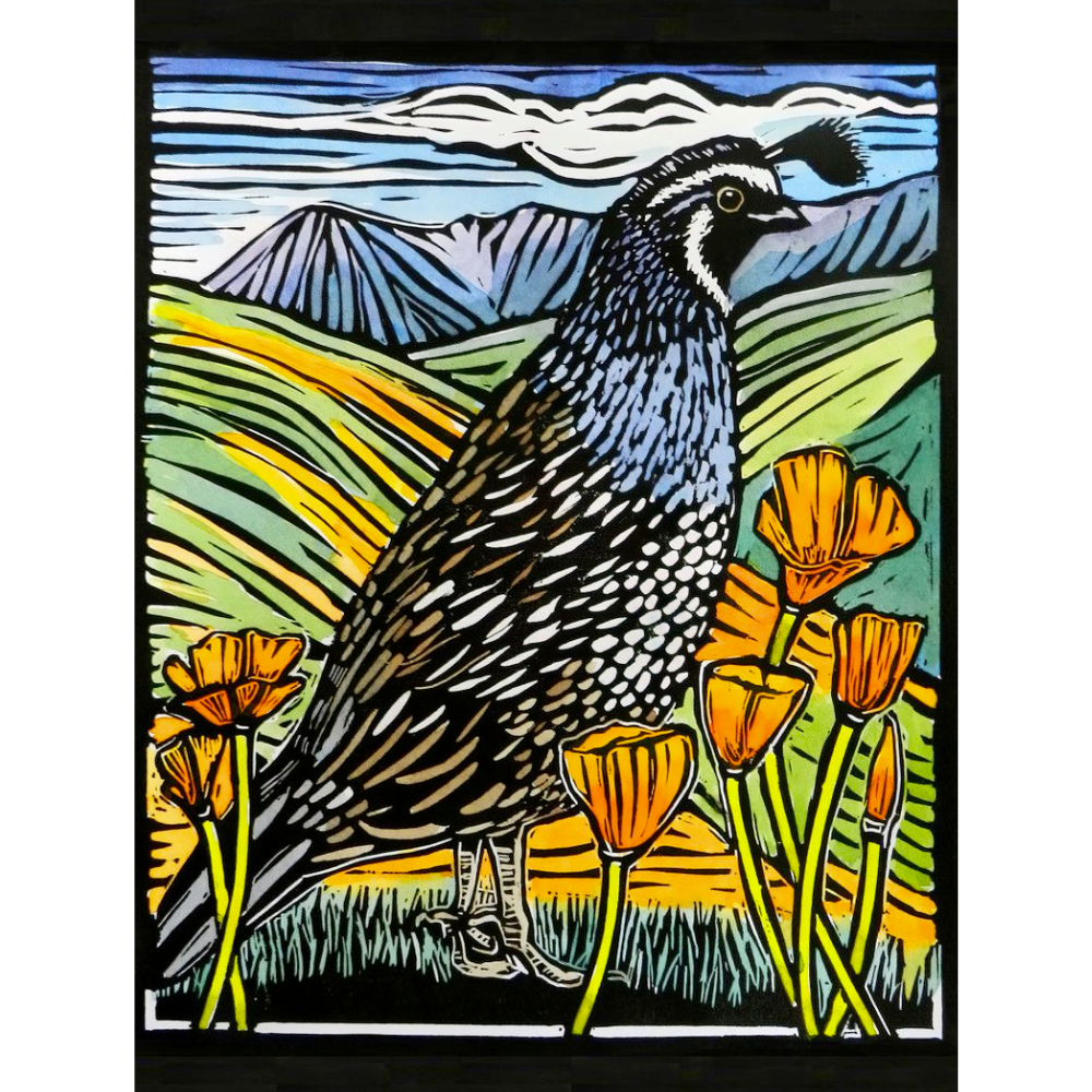 Molly Hashimoto: California Quail - Thirsty Meeples