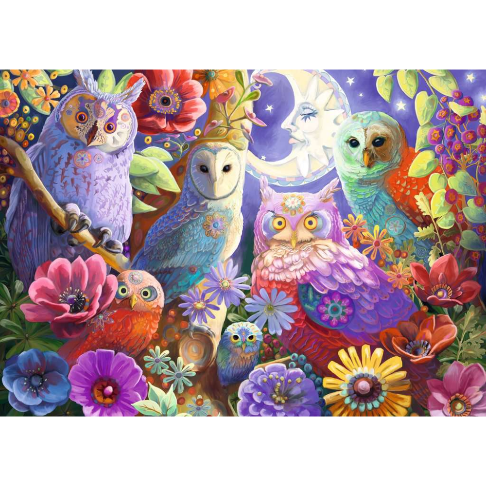 Night Owl Hoot