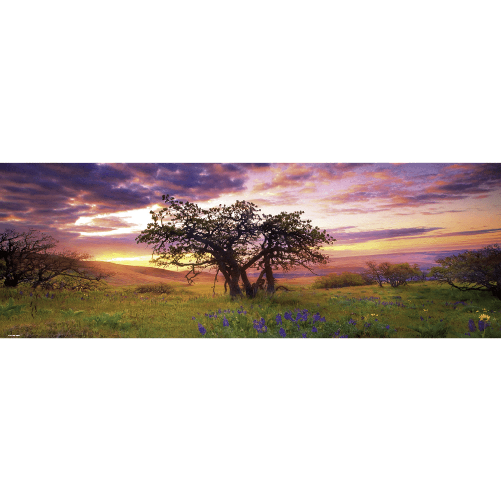 Oak tree (2000 Pieces)