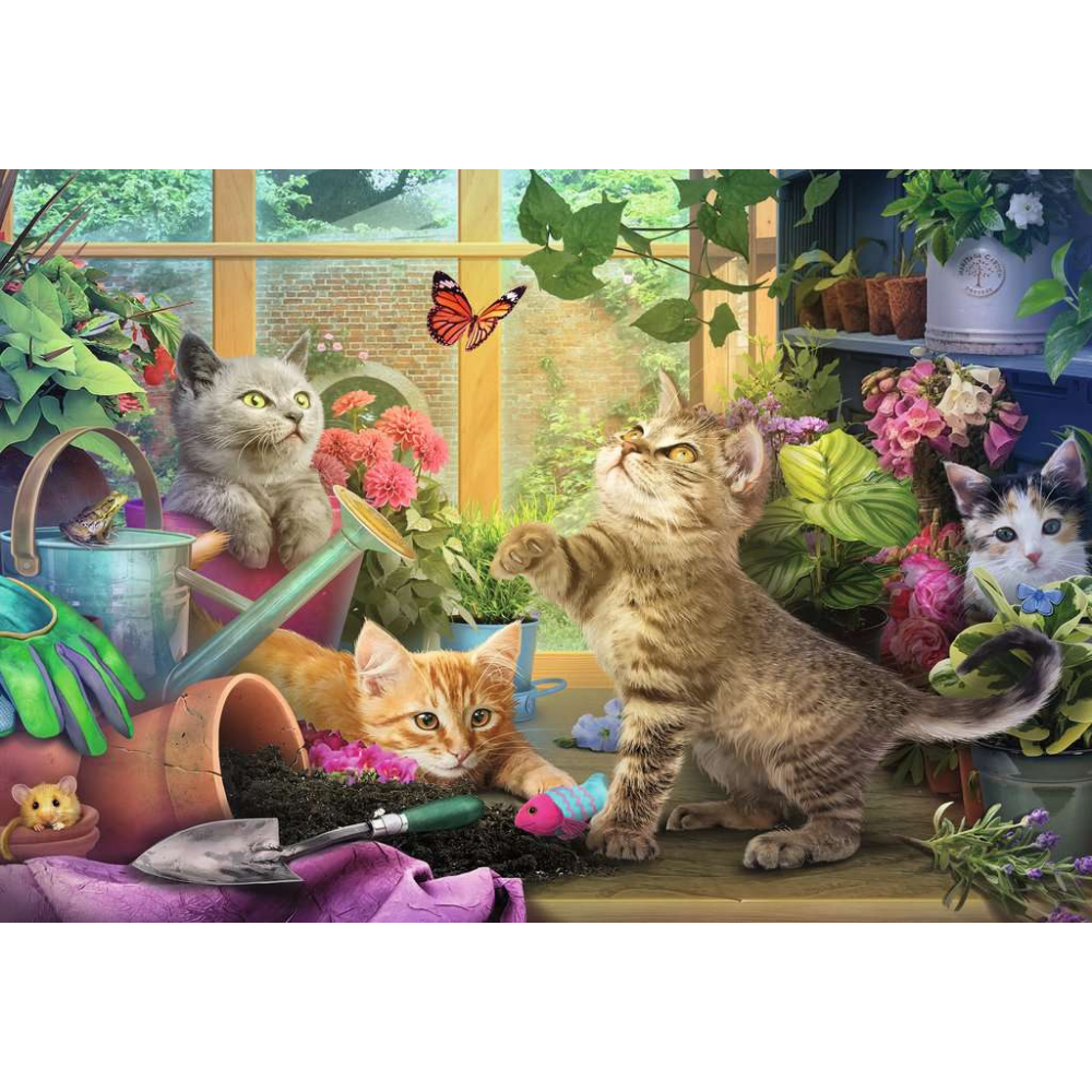 Playful Cats