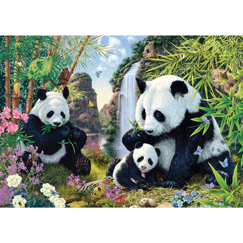 Panda Family