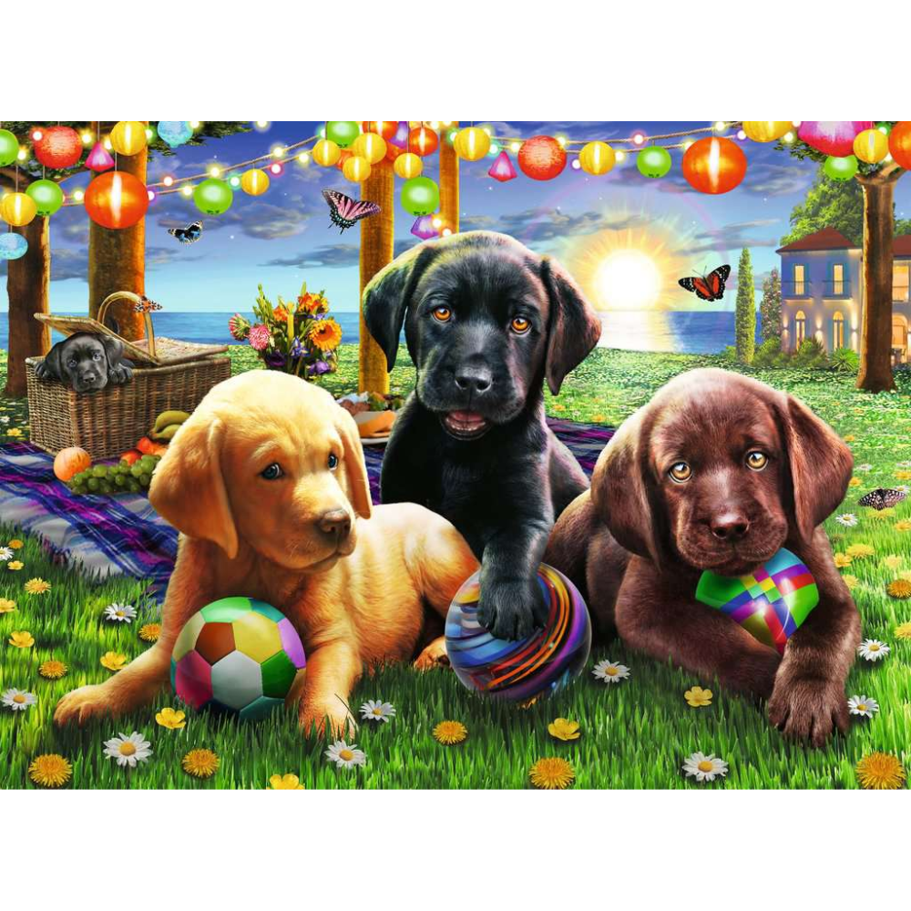 Puppy Picnic