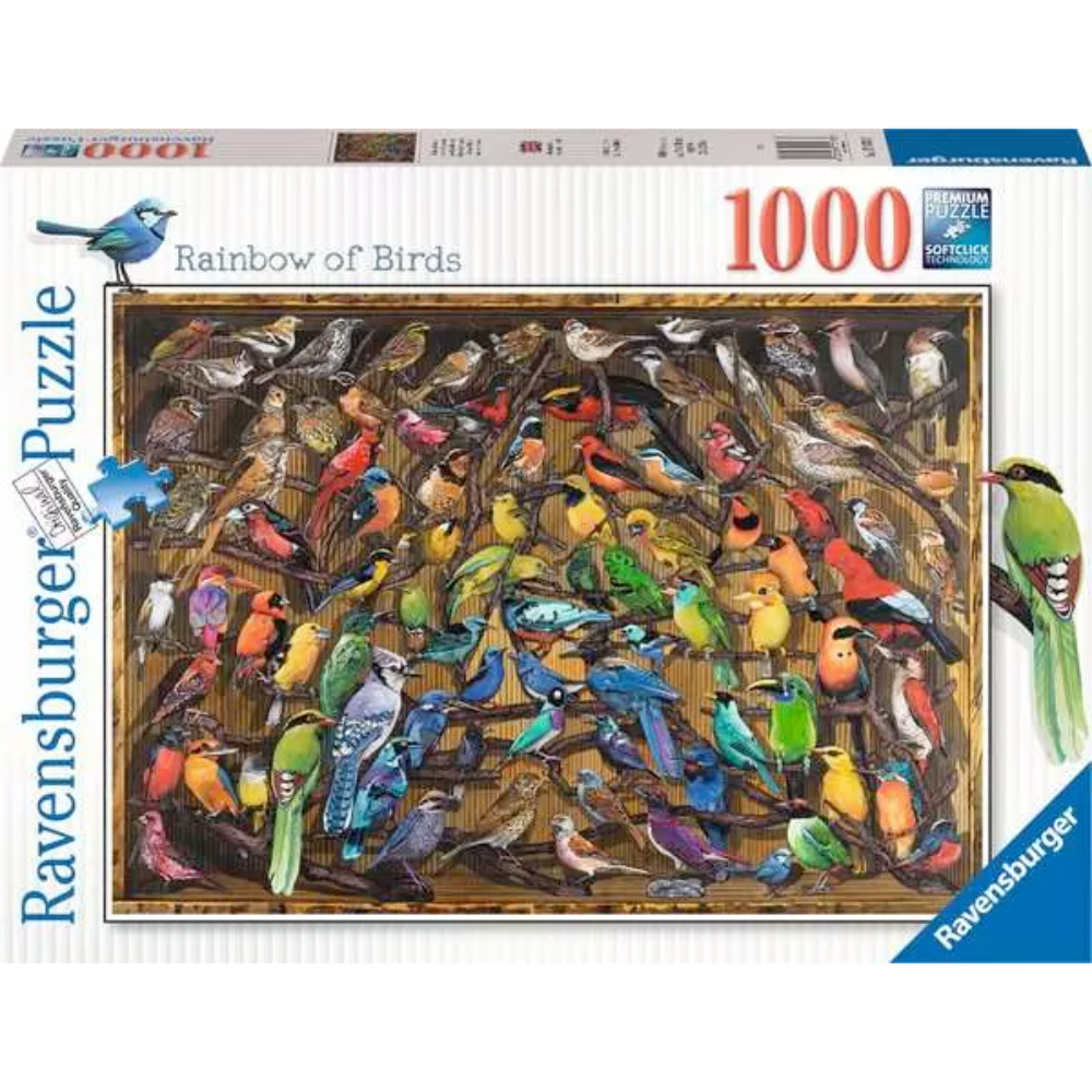Rainbow of Birds