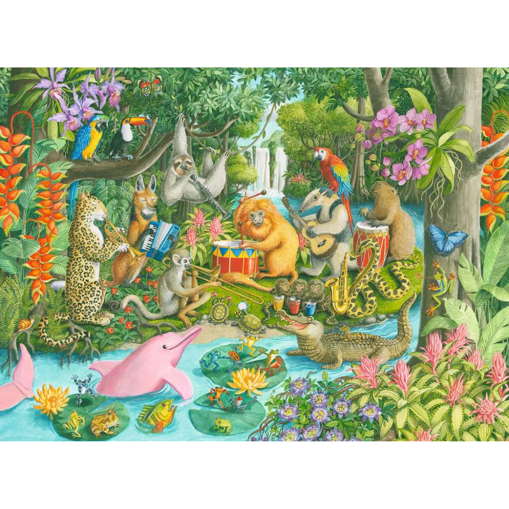 Rainforest River Band