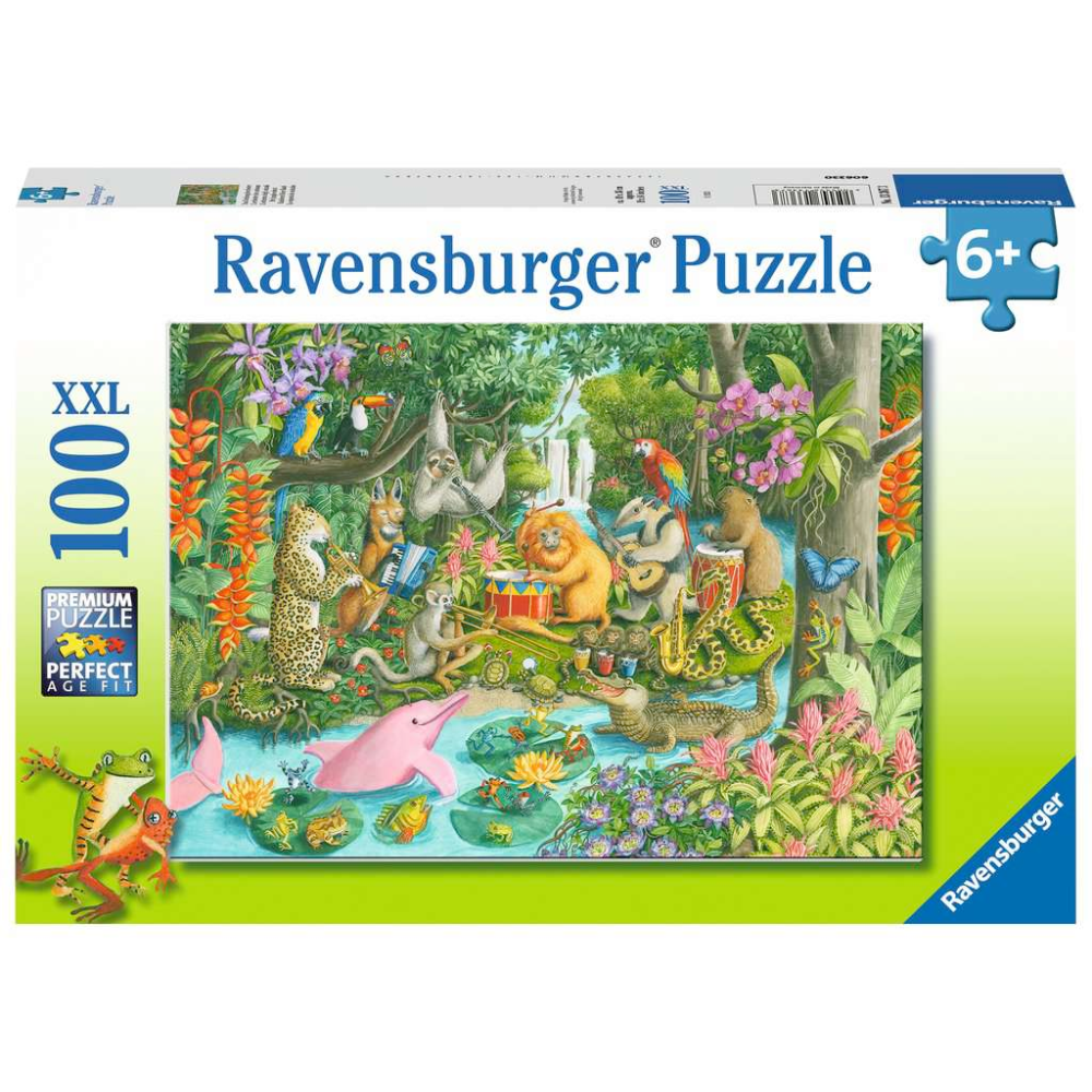 Rainforest River Band