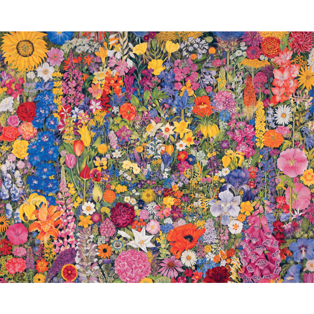 Rosalind Wise: Flower Cycle