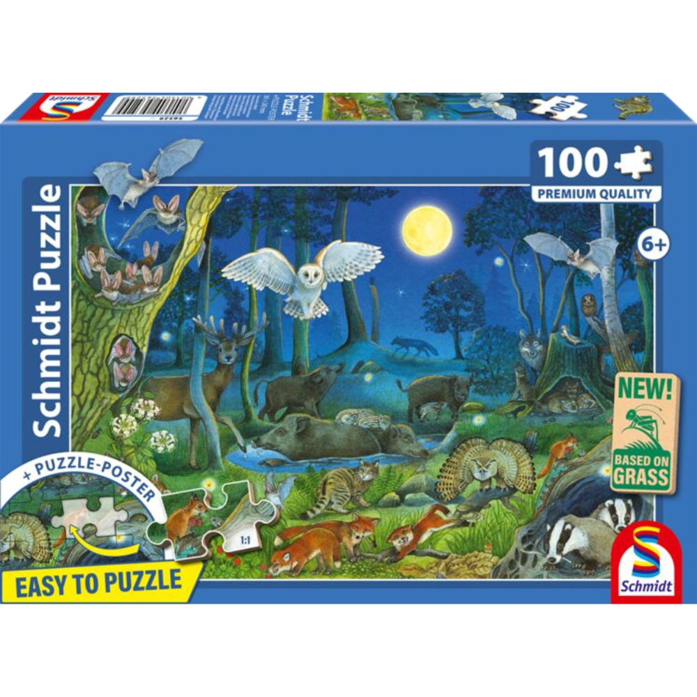 Forest Animals at Night