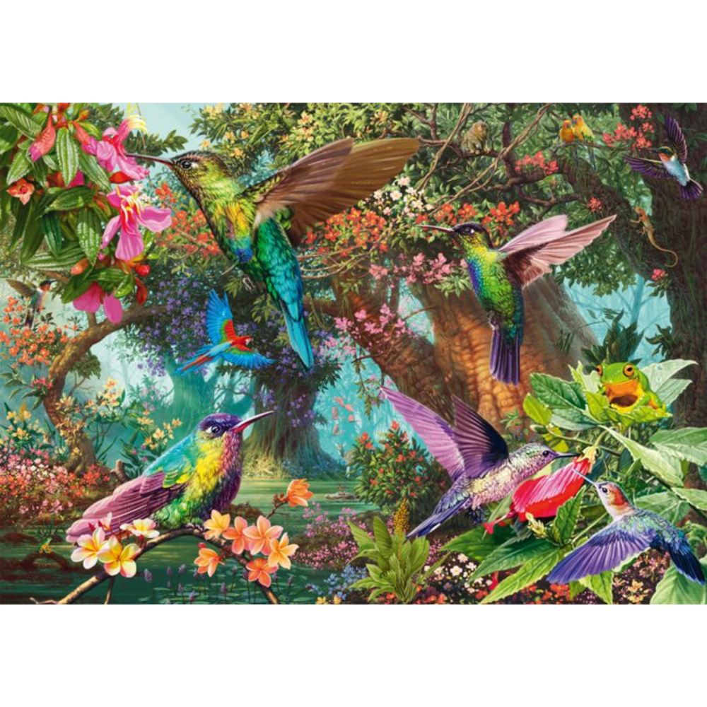 Hummingbirds in a Burst of Colour