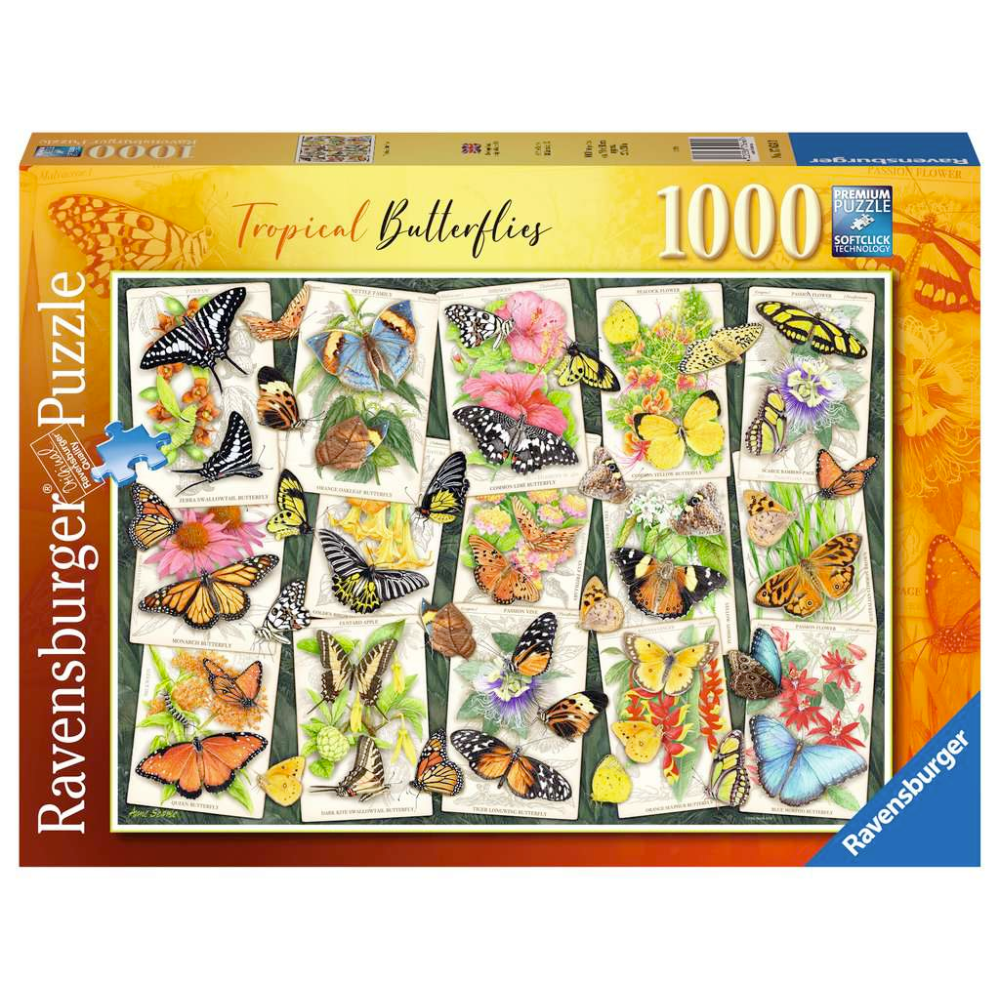 Tropical Butterflies