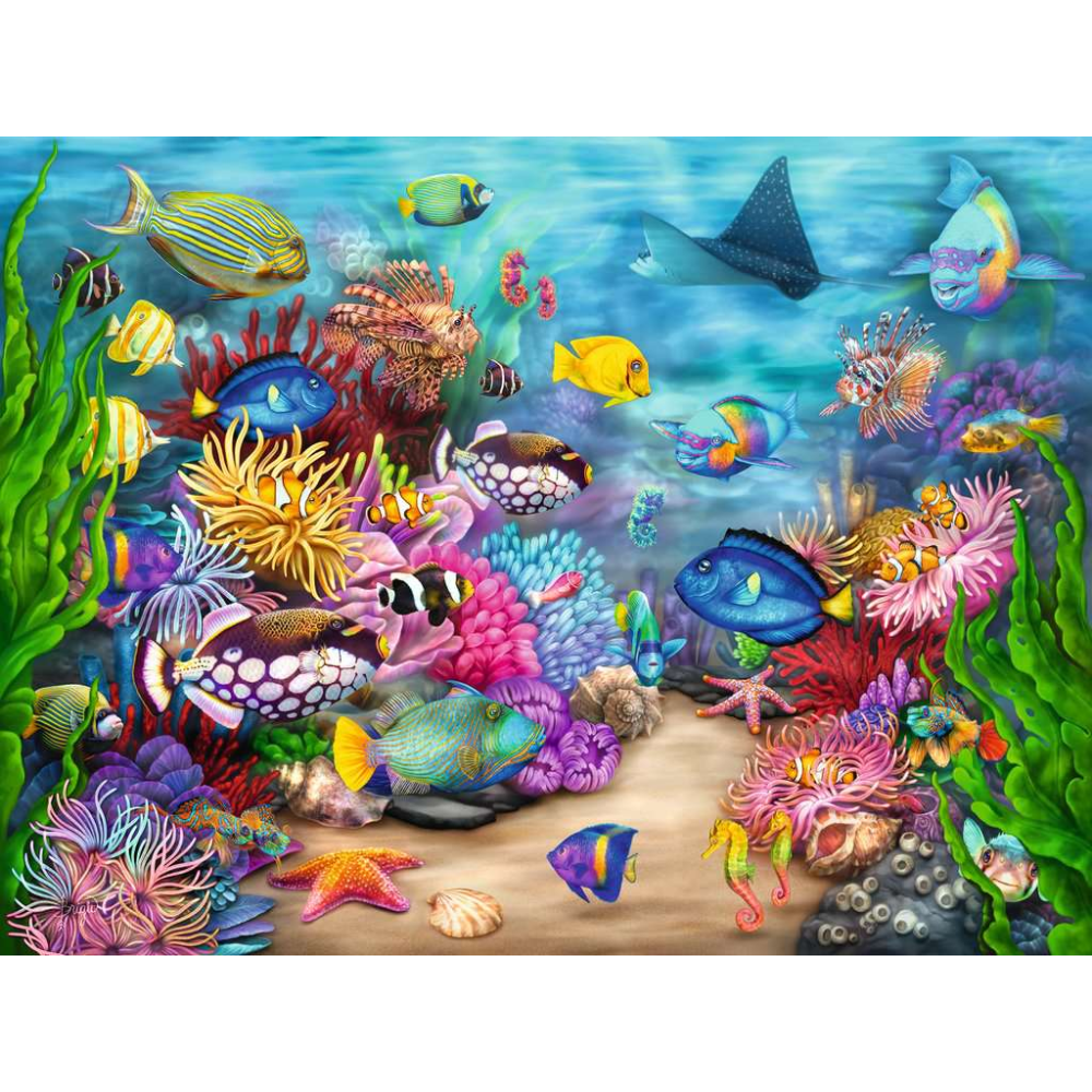 Tropical Reef Life