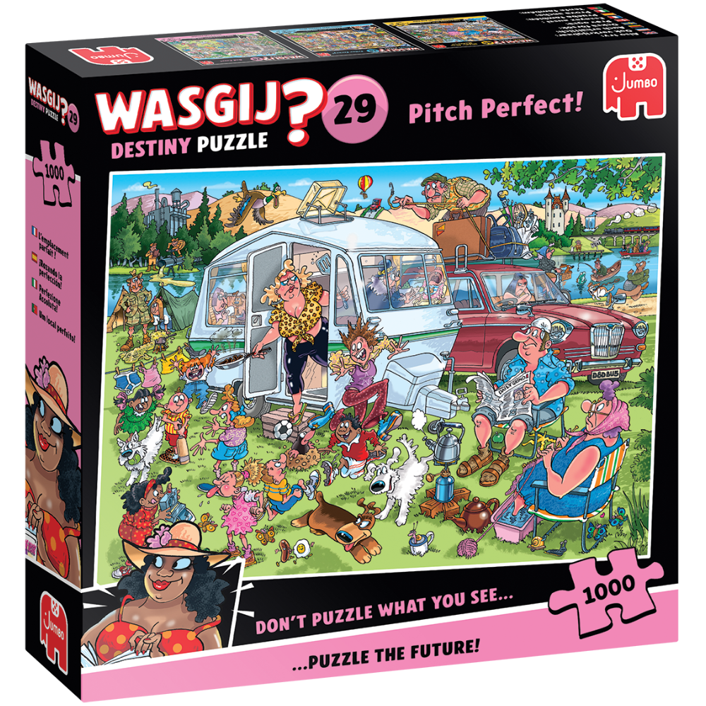 Wasgij Destiny 29: Pitch Perfect!