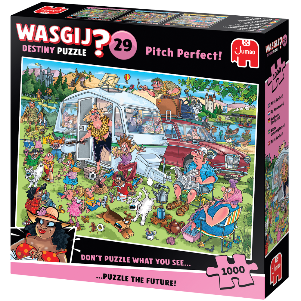 Wasgij Destiny 29: Pitch Perfect!