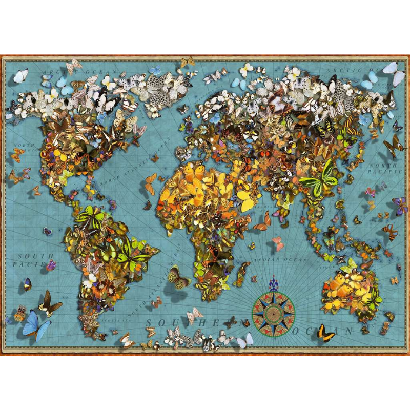 World of Butterflies