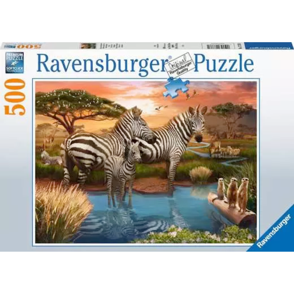 Zebra’s at Waterhole