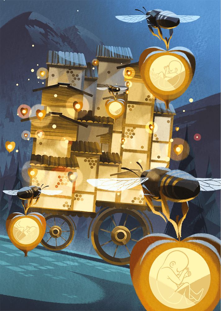 Dixit Jigsaw Puzzle: Deliveries