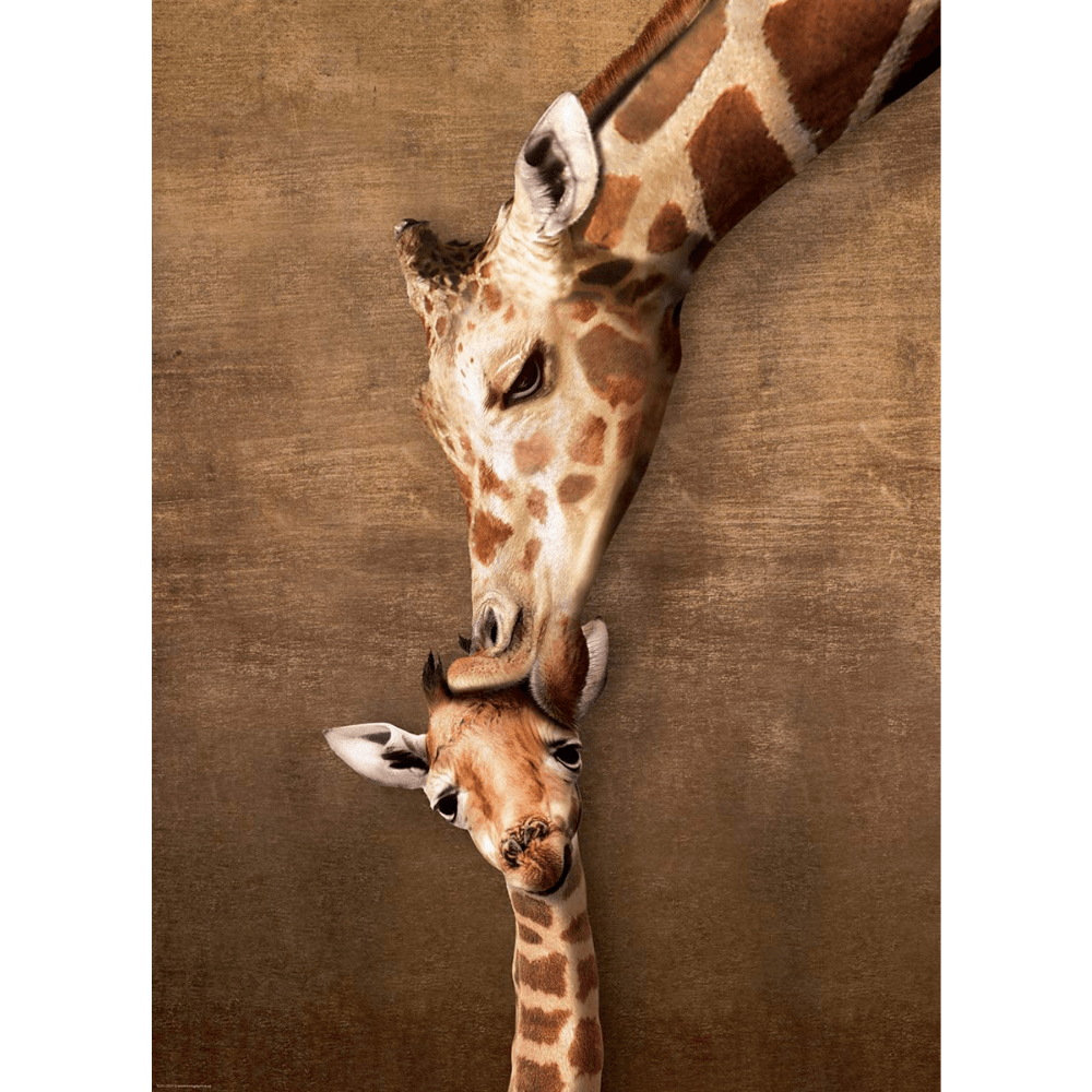 Giraffe Mother's Kiss