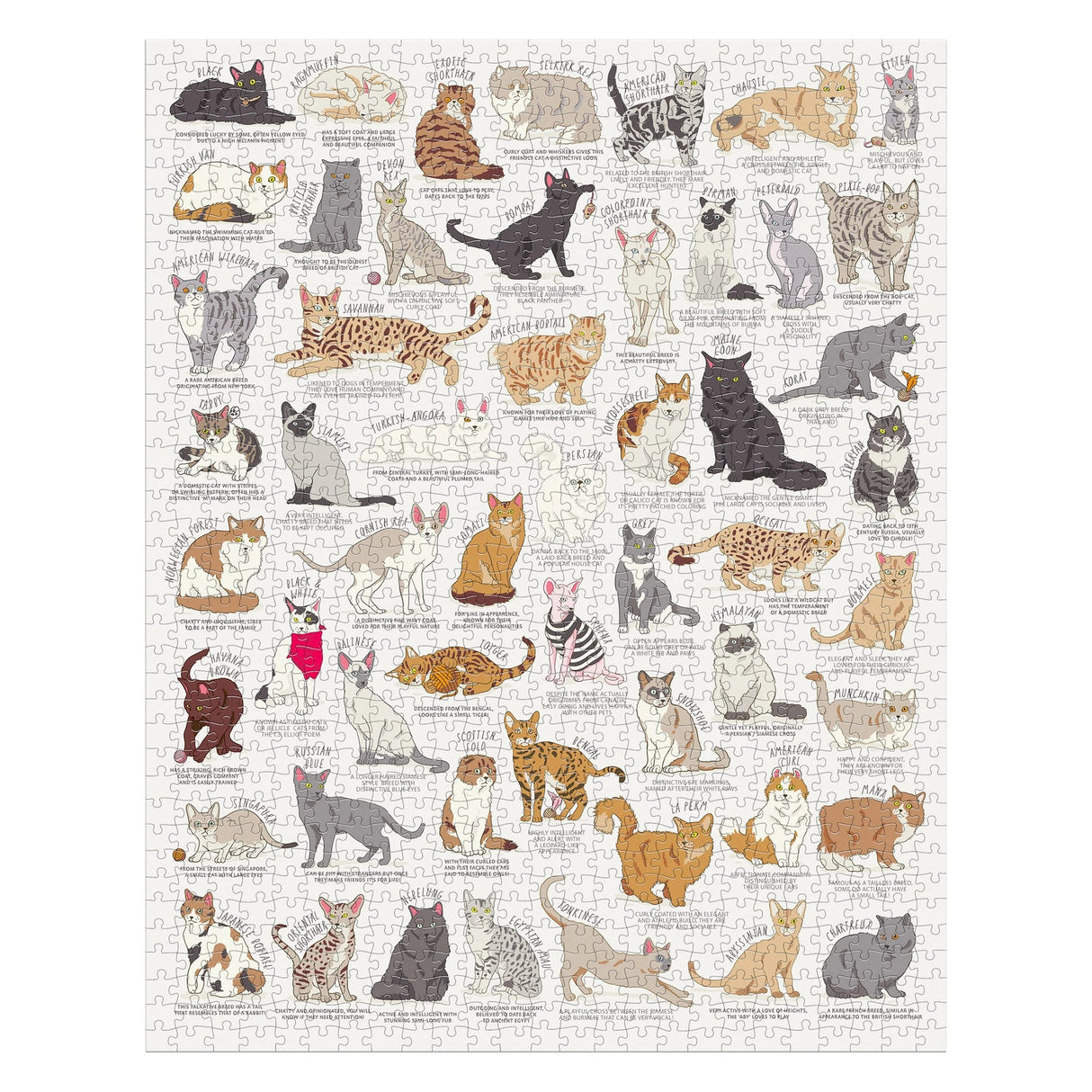 Cat Lover's