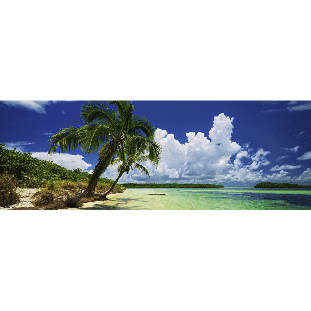 Paradise Palms