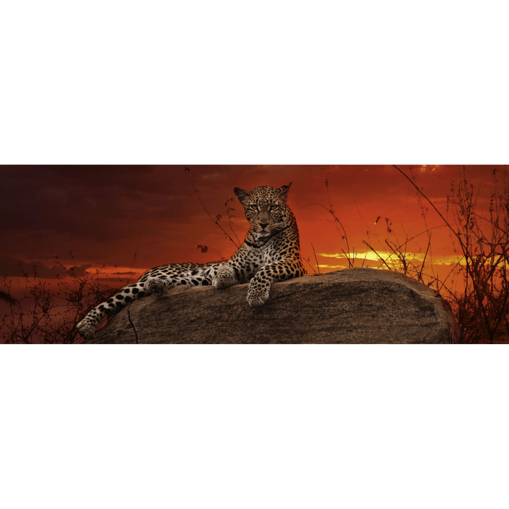 Red Dawn