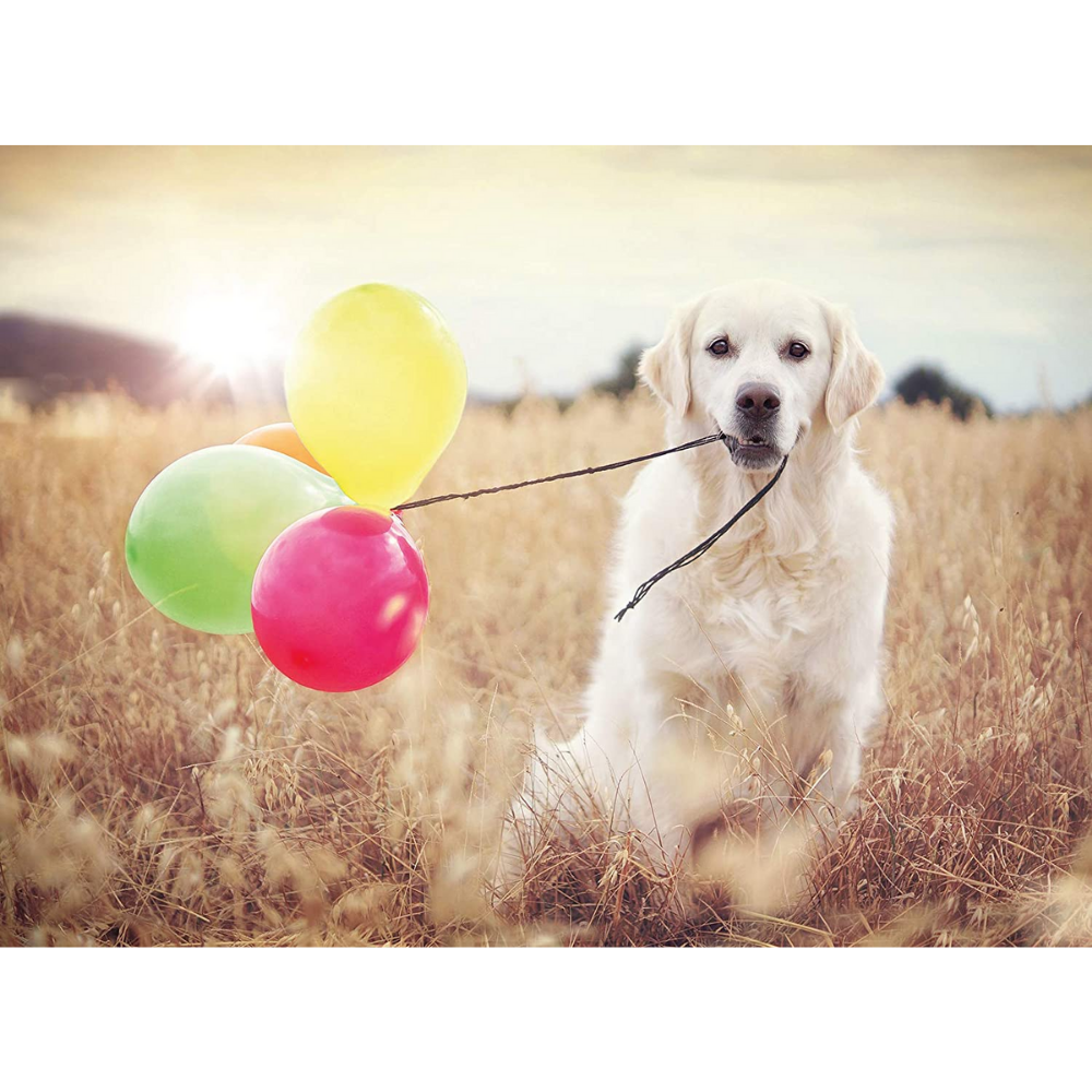 Balloon Party