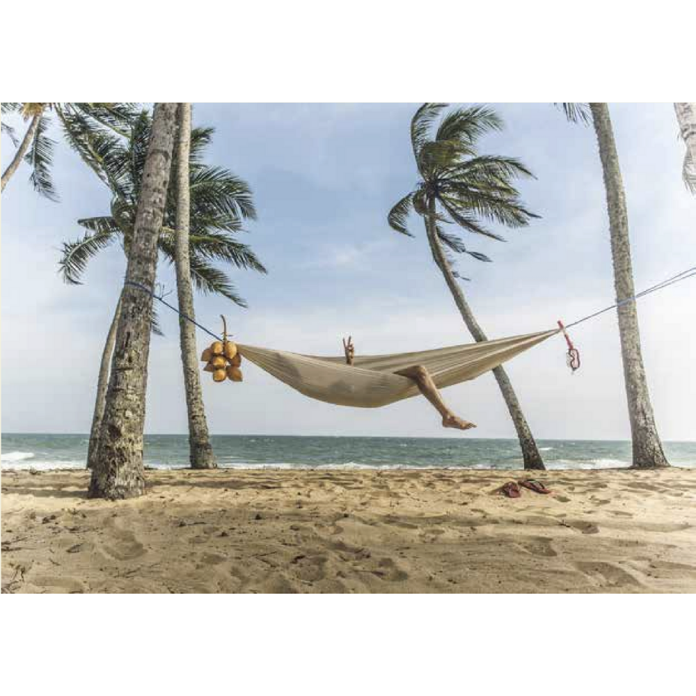 Beach Hammock