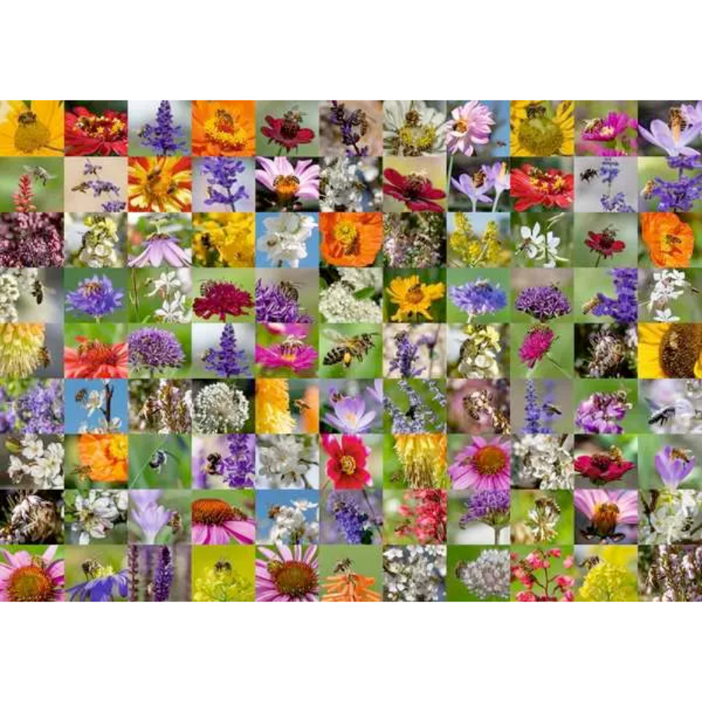Bee Collage