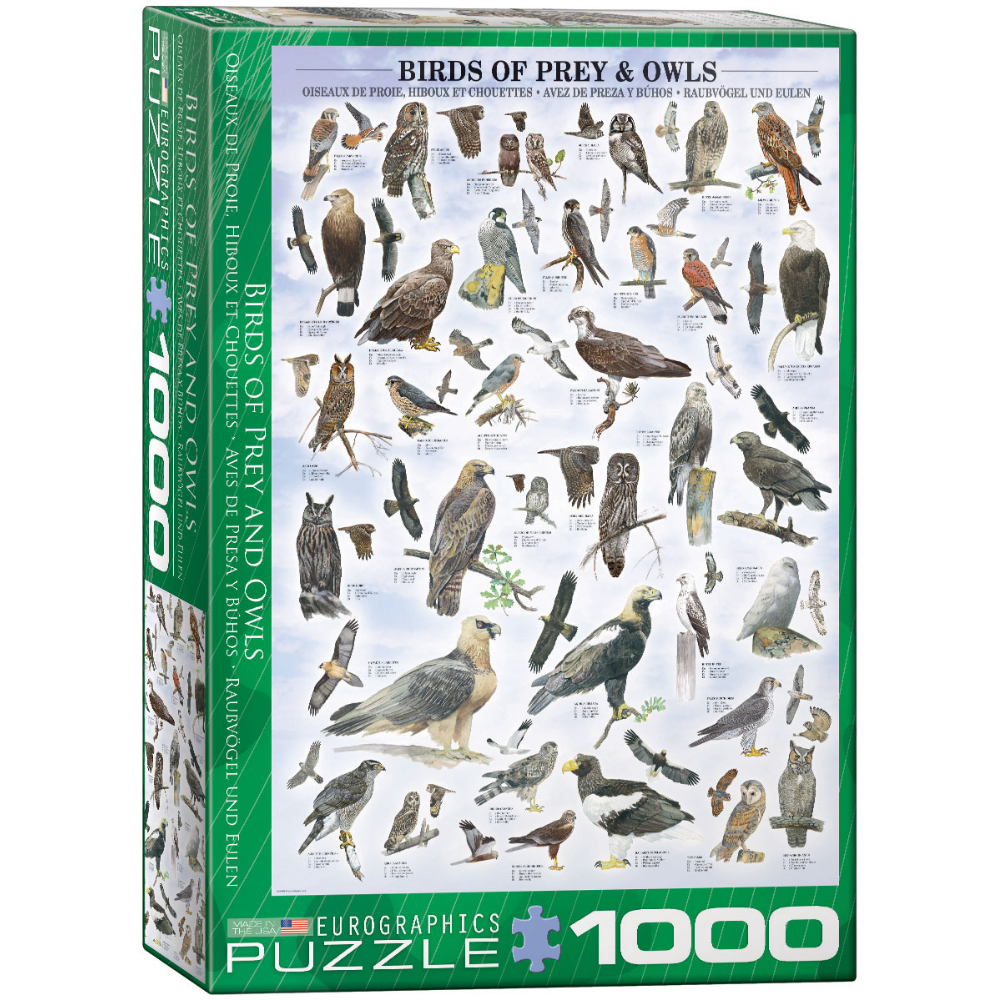 Birds of Prey and Owls