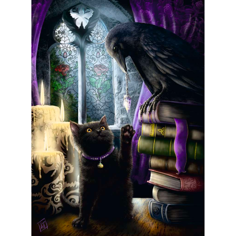 Black Cat and Raven