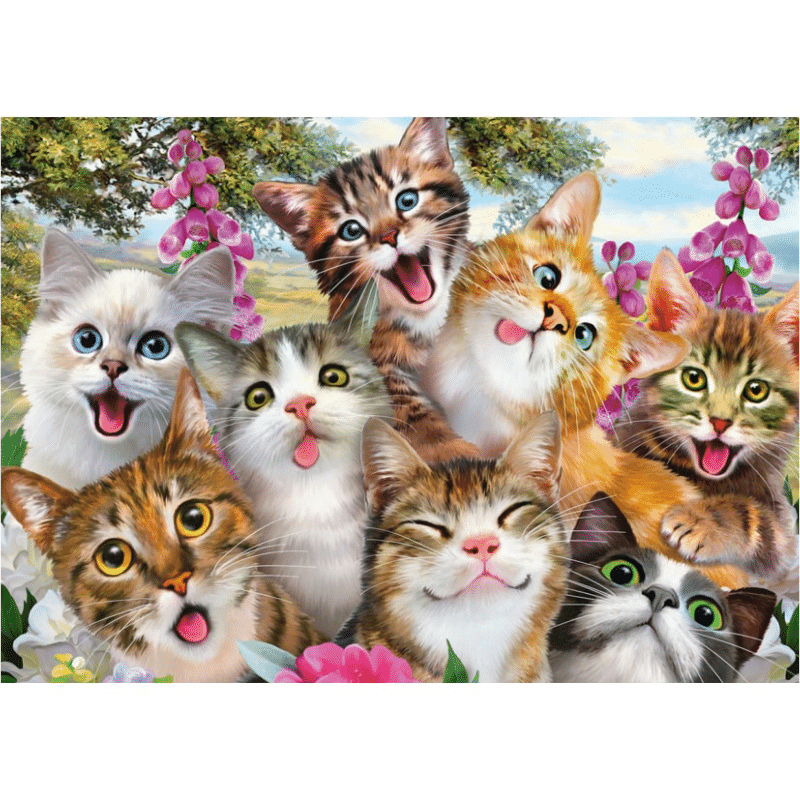 Cat Selfie