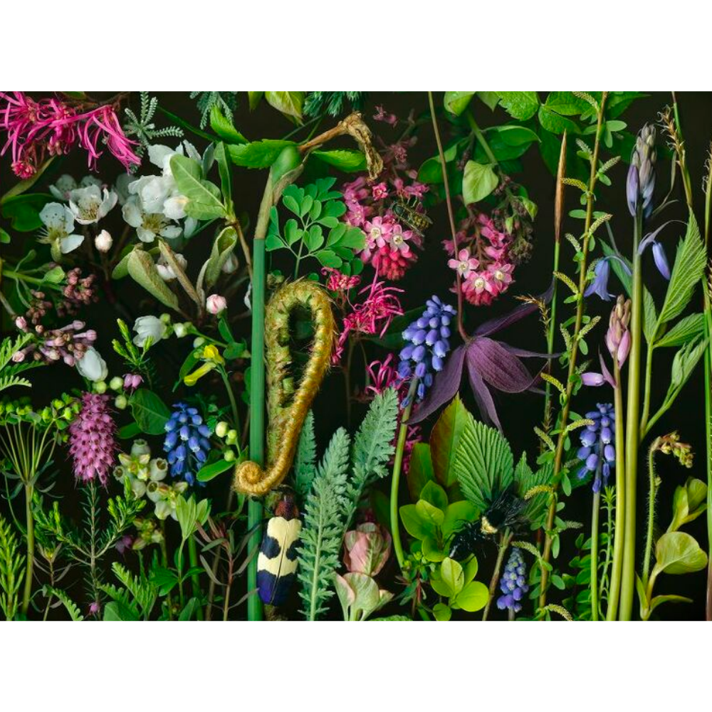 Deb Stoner: Chaos