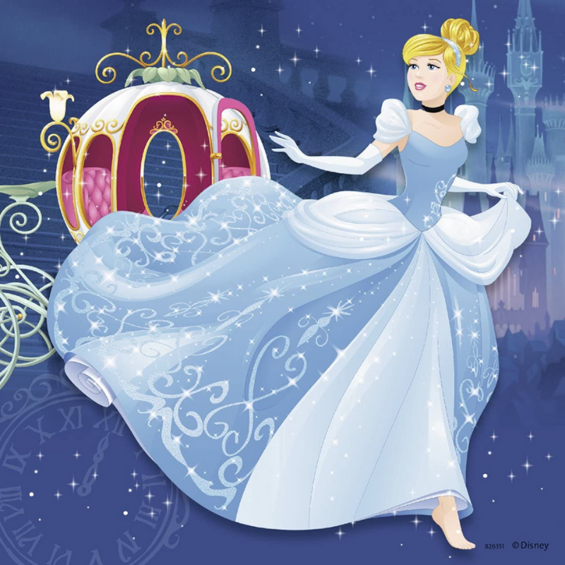 Disney Princess Adventure