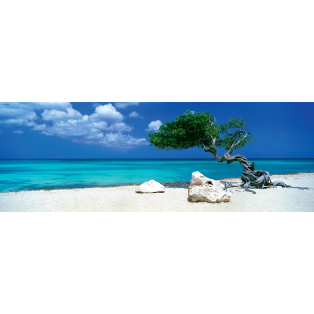 Divi Divi Tree (1000 Pieces)