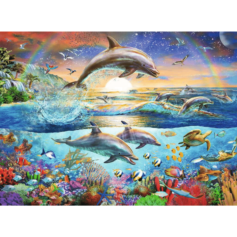 Dolphin Paradise