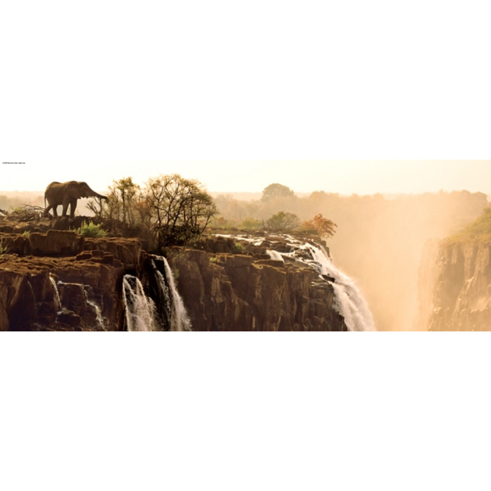 Elephant (1000 Pieces)