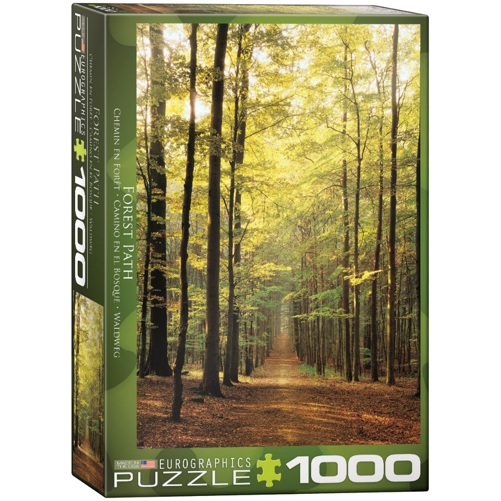 Forest Path