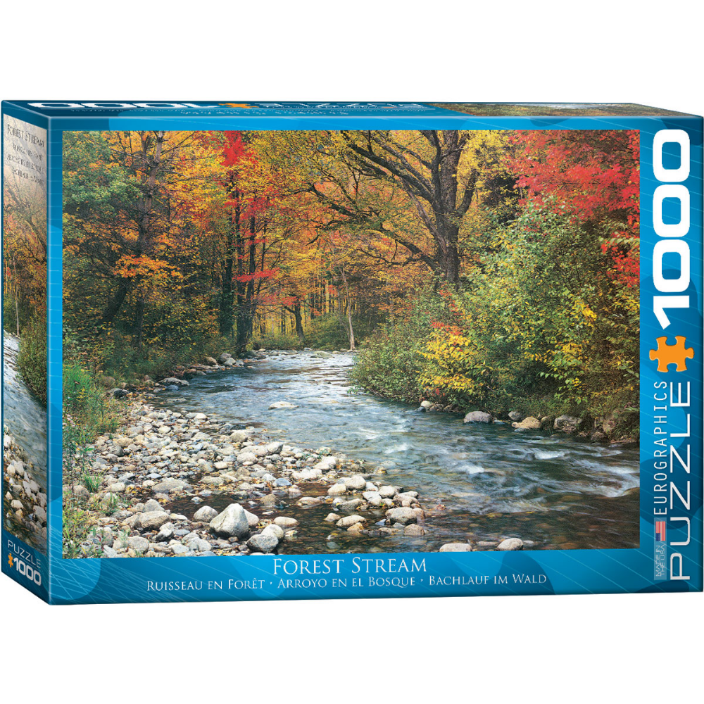 Forest Stream